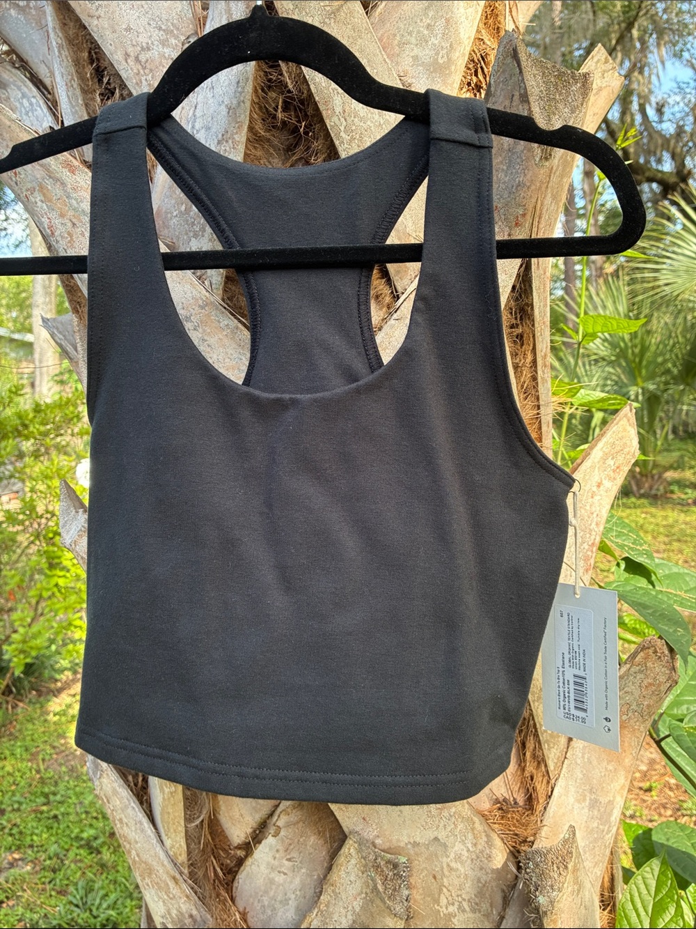Pact cropped top